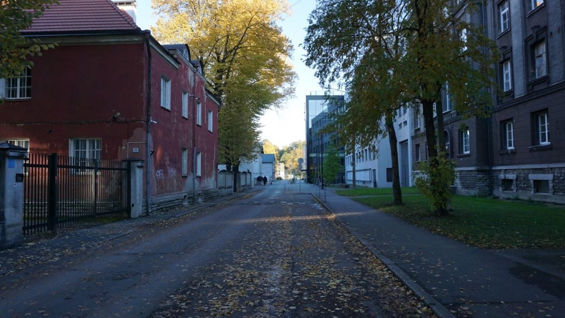 Quiet street with old buildings and trees in autumn.