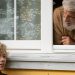 Elderly man with white beard interacts with curly-haired teenager through open window.